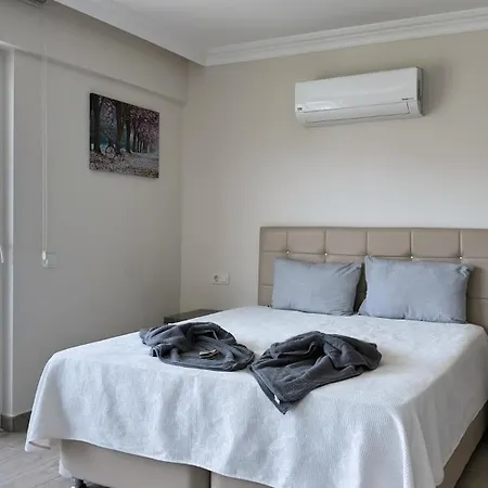 Dalyan Center Location Detached With Pool Villa *